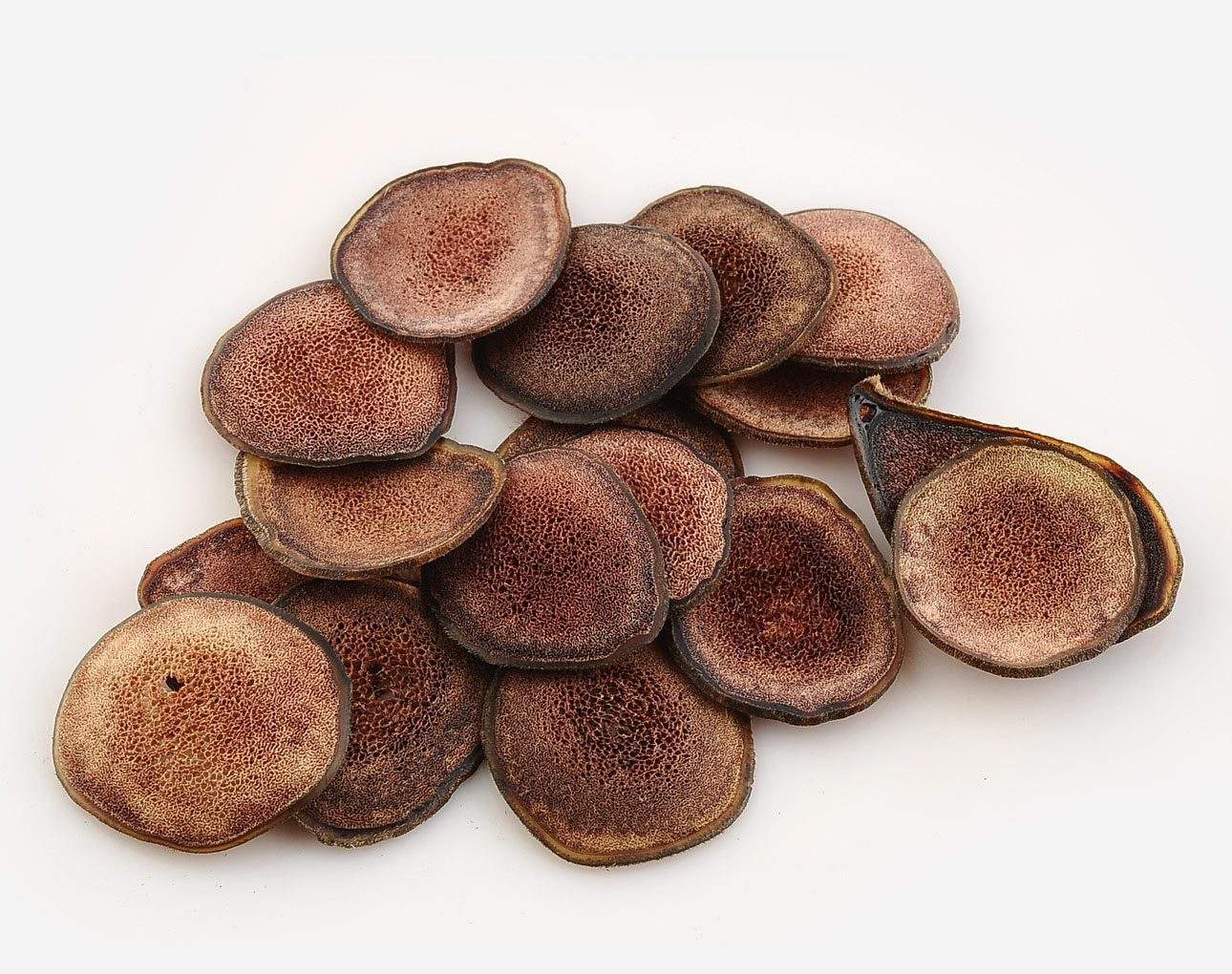 Introduction de l’extraction par ultrasons du polypeptide de bois de cerf