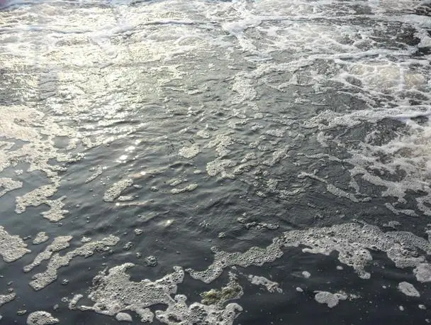 Qu’est-ce que le traitement des eaux us&eacute;es par ultrasons ?