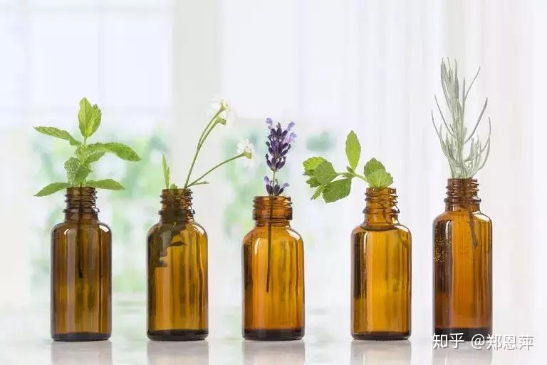 &Eacute;quipement d'extraction d'huile essentielle d'usine &agrave; ultrasons