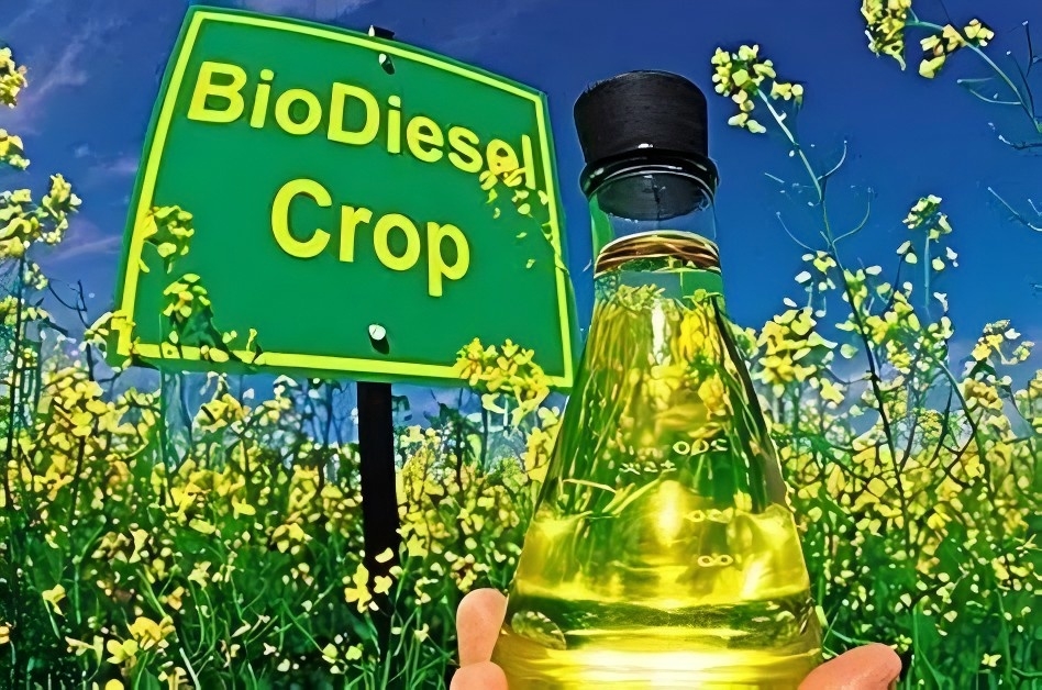 Anvendelse: Ultralyd-oxidativ ekstraktionsafsvovling af svovlholdig diesel